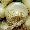 Dallas Farmers Market-005-C