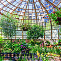 Lincoln Park Conservatory-001-C