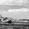 Shipwrecked in Puerto Viejo-004-M